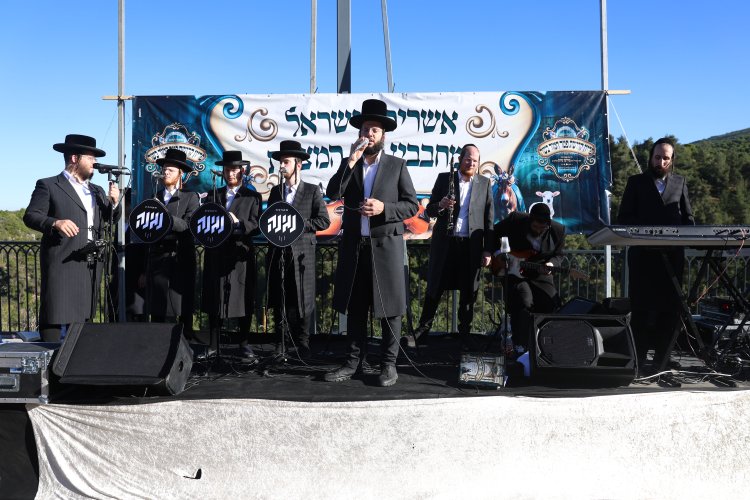 מצוות פדיון פטר חמור בהשתתפות אלפים במירון (צילום: דוד כהן) מצוות פדיון פטר חמור בהשתתפות אלפים במירון (צילום: דוד כהן)