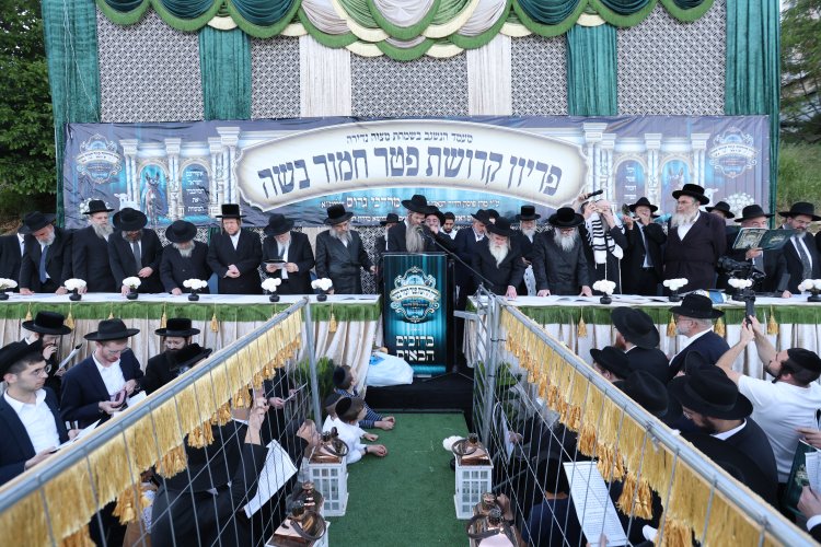 מצוות פדיון פטר חמור בהשתתפות אלפים במירון (צילום: דוד כהן) מצוות פדיון פטר חמור בהשתתפות אלפים במירון (צילום: דוד כהן)