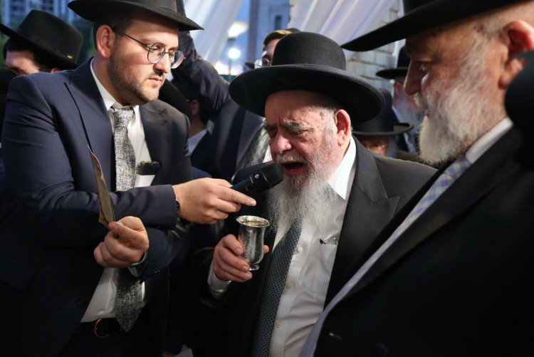 (צילום: יעקב כהן)