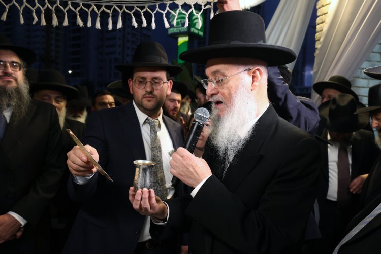 (צילום: יעקב כהן)
