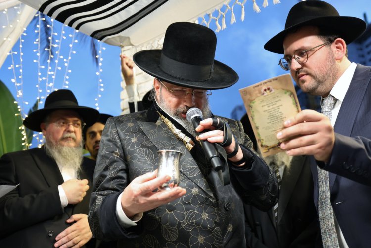 (צילום: יעקב כהן)