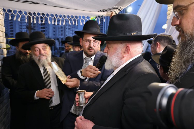 (צילום: יעקב כהן)