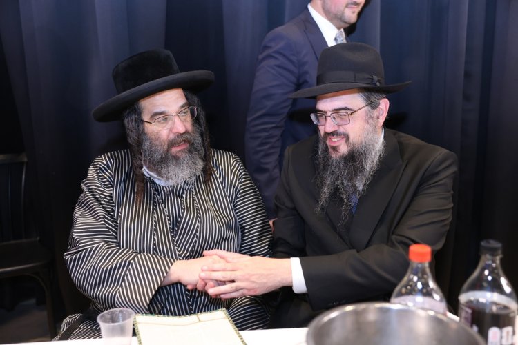 (צילום: יעקב כהן)