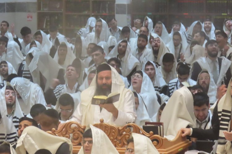 הישיבה ברכסים הישיבה ברכסים