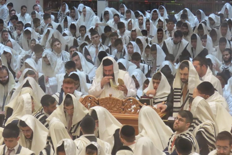הישיבה ברכסים הישיבה ברכסים