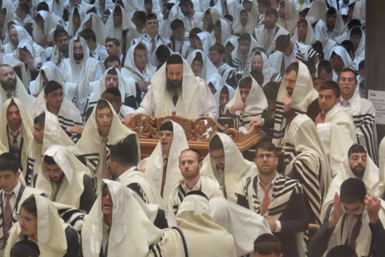 הישיבה ברכסים הישיבה ברכסים