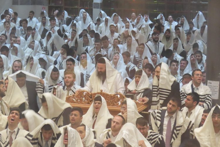 הישיבה ברכסים הישיבה ברכסים