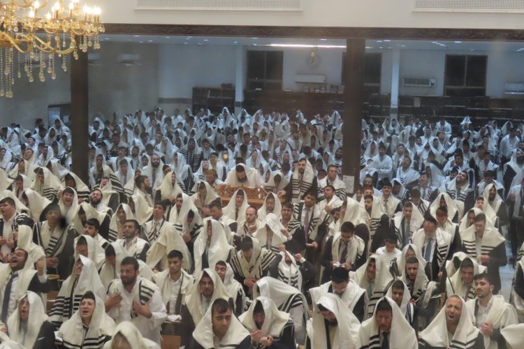 הישיבה ברכסים הישיבה ברכסים